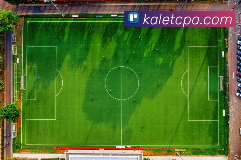 pa视讯APP 封面图